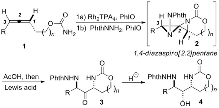 Scheme 1