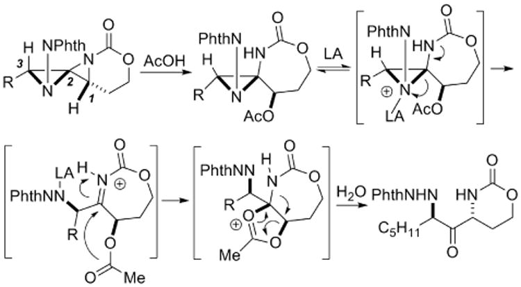 Scheme 4