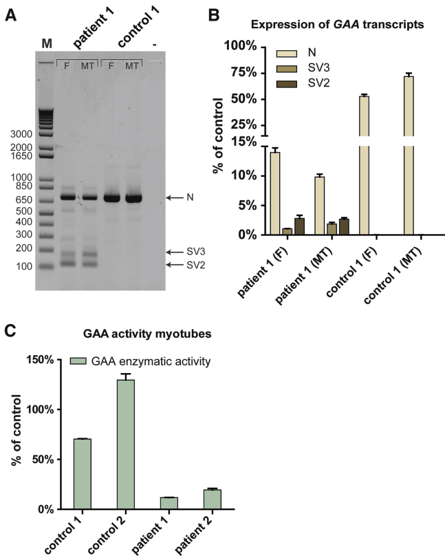 Figure 3