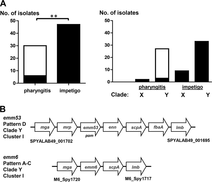 FIG 1