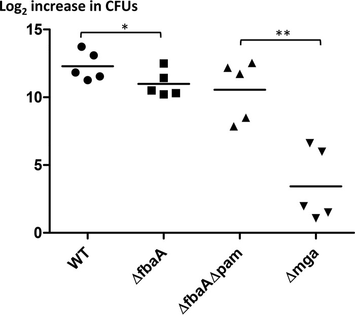 FIG 2