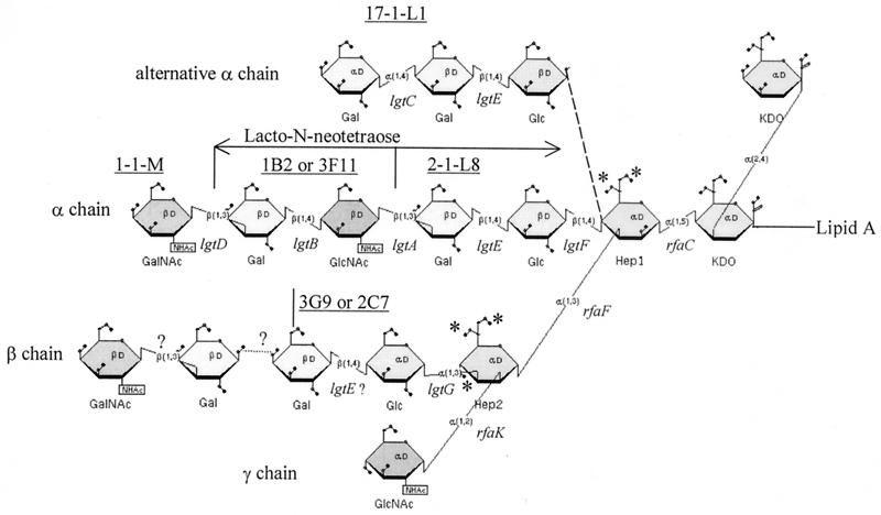 FIG. 1