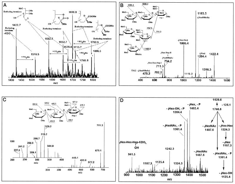 FIG. 3