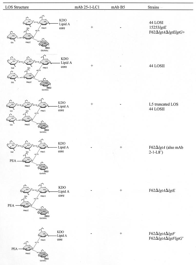 FIG. 9