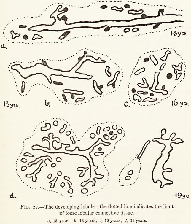 Fig. 22.