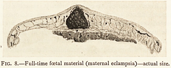 Fig. 8.