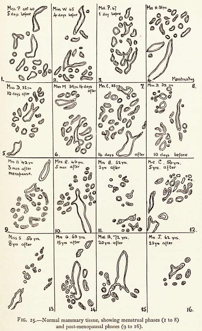 Fig. 25.