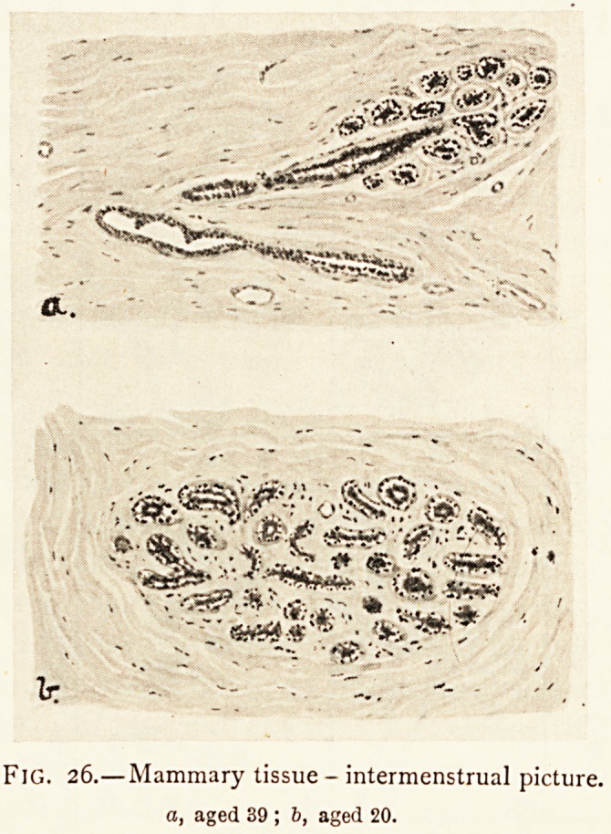 Fig. 26.