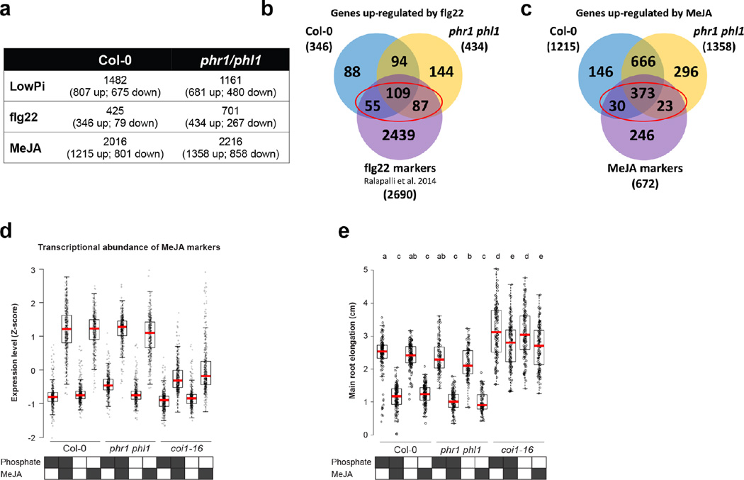 Extended Data Figure 9