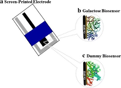 Graphical abstract