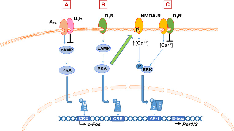 FIGURE 2