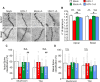 Fig. 3̇