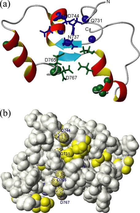 FIGURE 11.