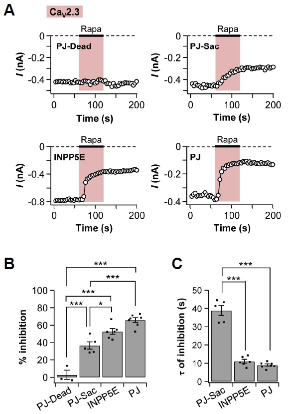 Fig. 6.