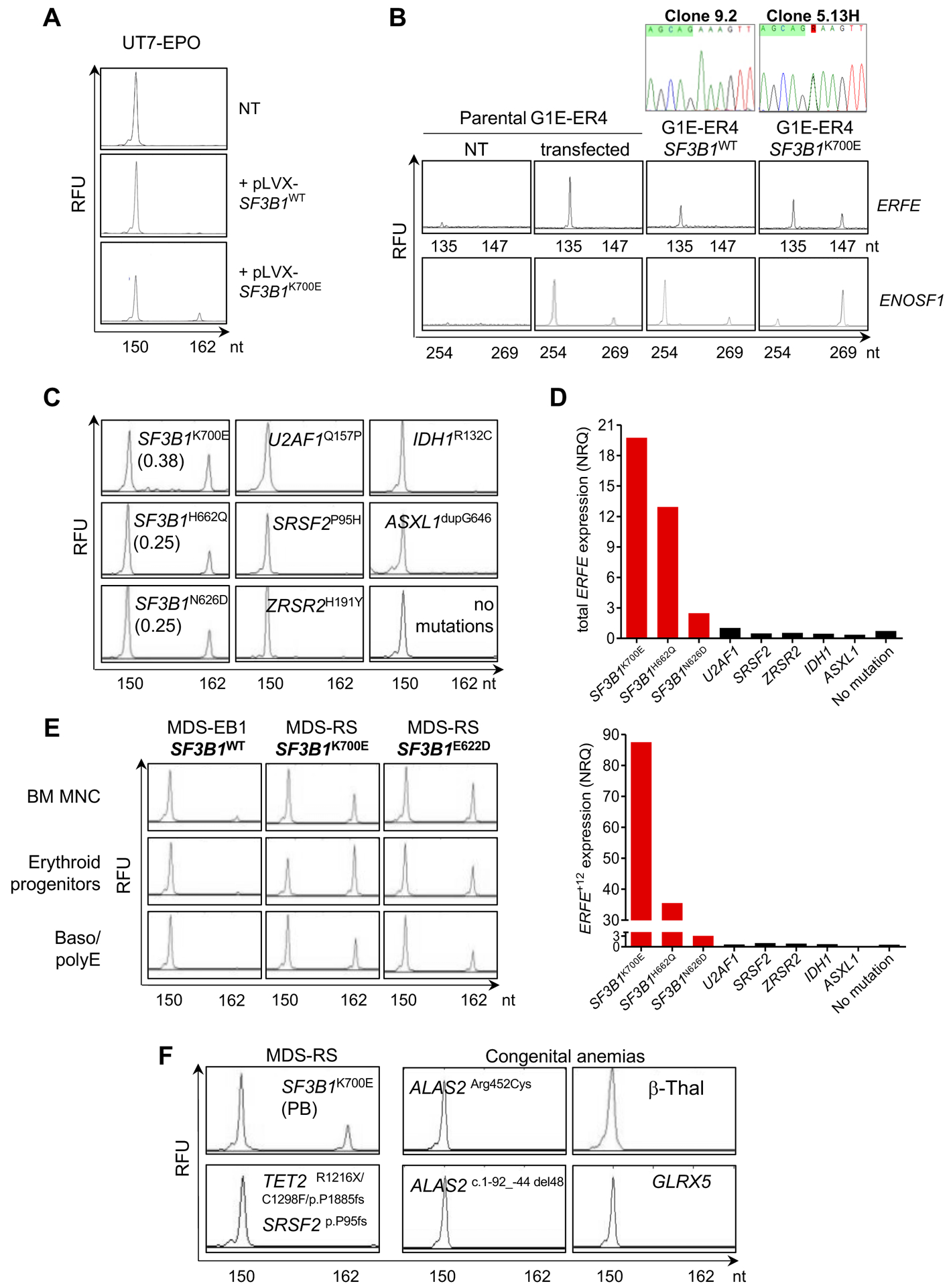 Fig. 3: