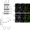 Fig 9