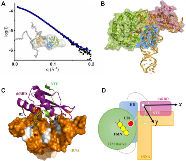 Figure 5.