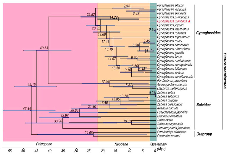 Figure 6