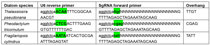 graphic file with name BioProtoc-7-23-2625-t002.jpg