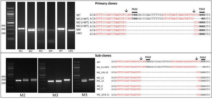 Figure 2.