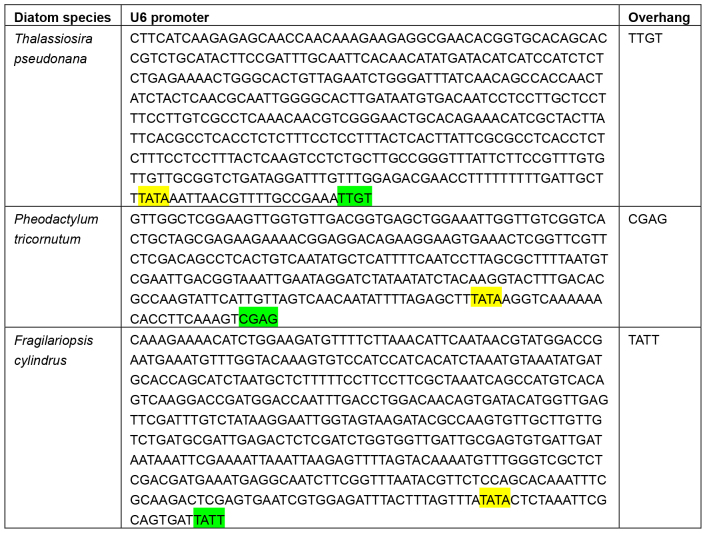 graphic file with name BioProtoc-7-23-2625-t001.jpg