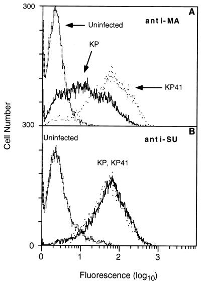 FIG. 6