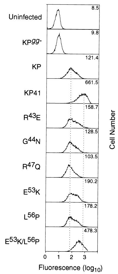 FIG. 5