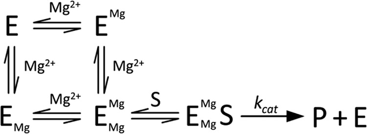 SCHEME 1.