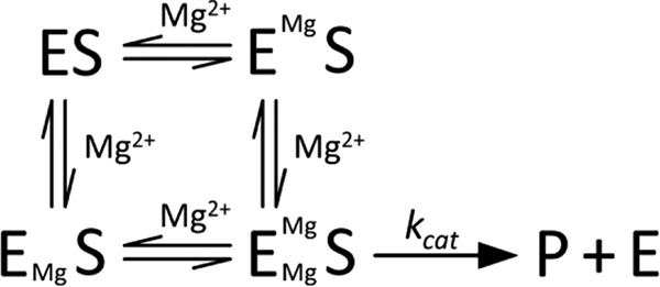 SCHEME 2.