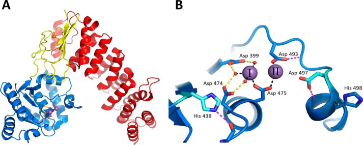 FIGURE 1.