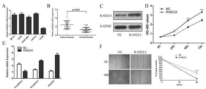 Fig 5