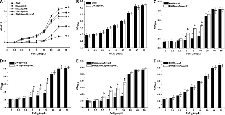 FIG 6