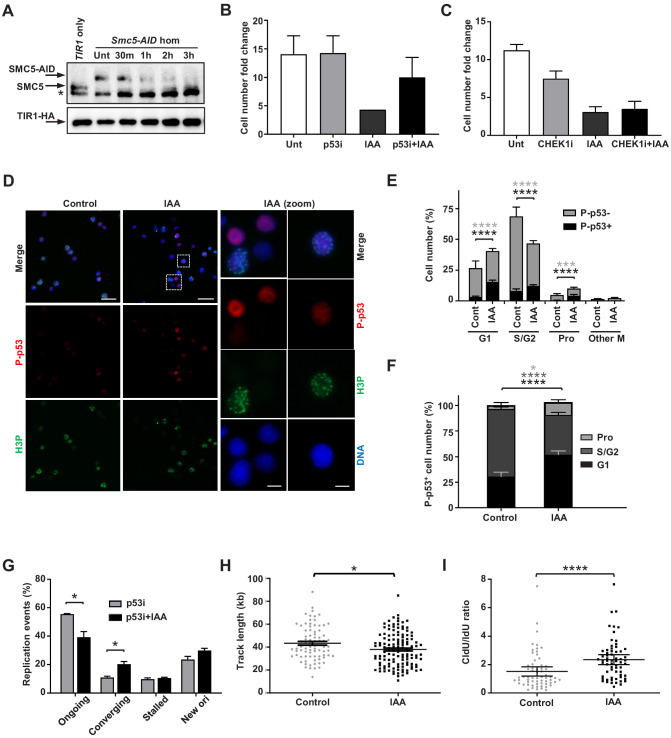 Figure 5—figure supplement 1.