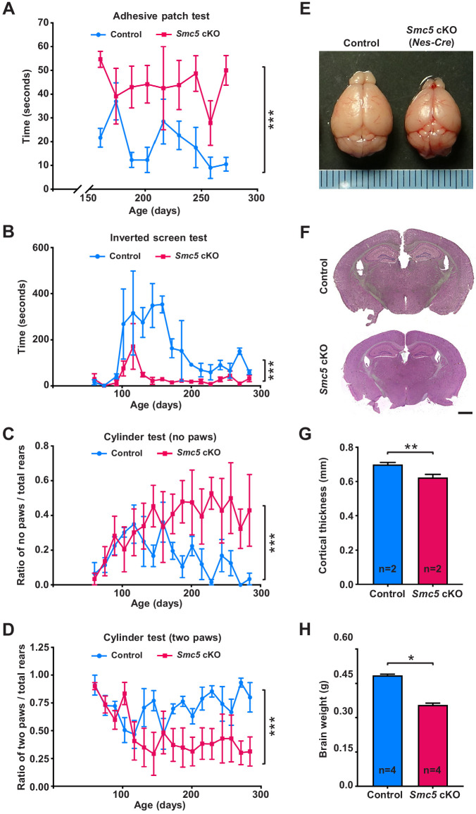 Figure 1—figure supplement 3.