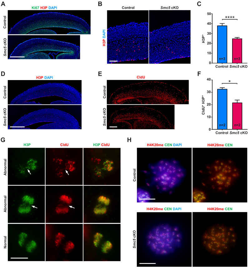 Figure 4—figure supplement 1.