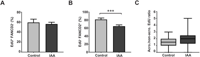 Figure 6—figure supplement 1.