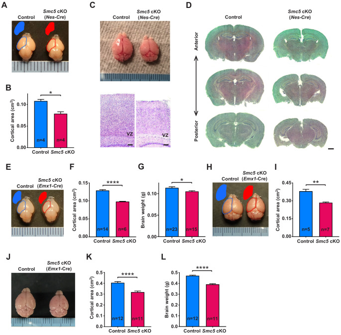 Figure 1—figure supplement 2.