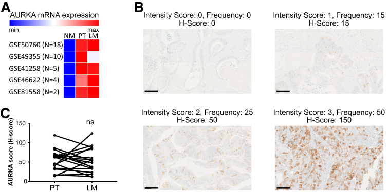 Figure 10