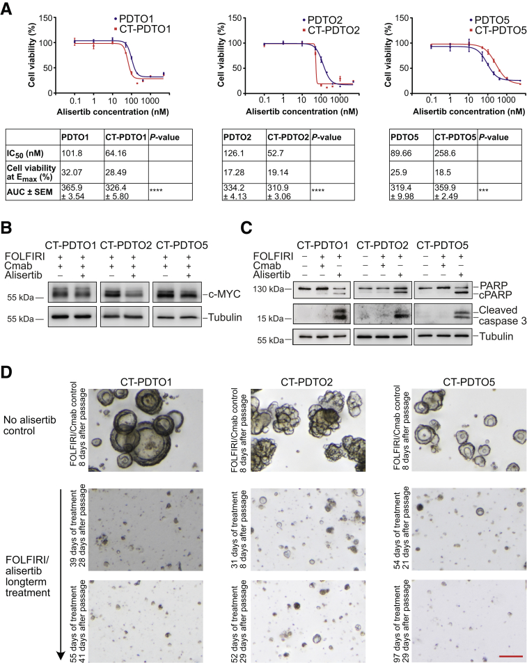 Figure 6