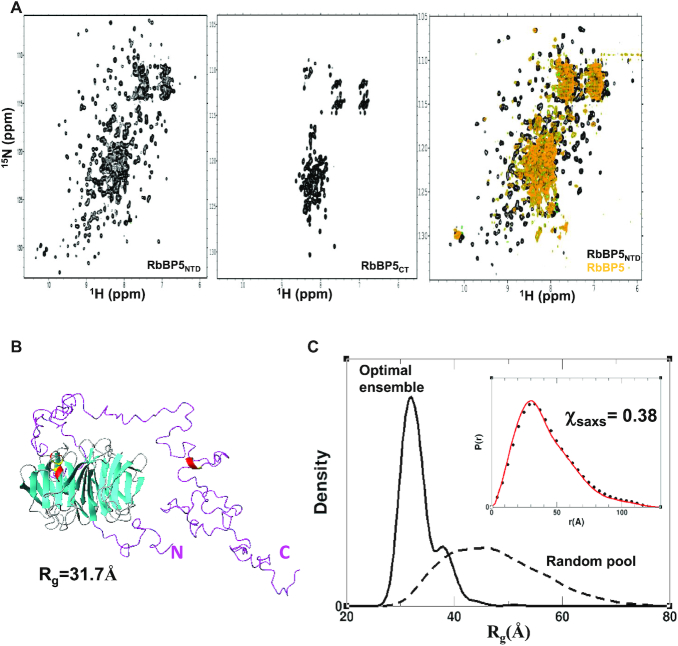 Figure 2.