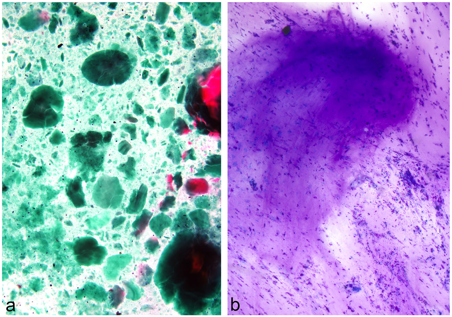 Fig. 8