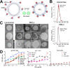 FIG 2