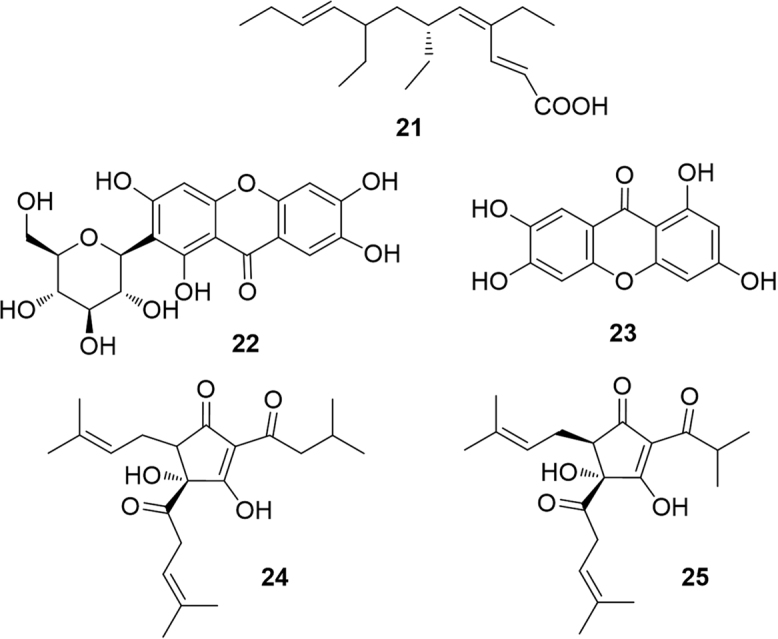 Fig. 7