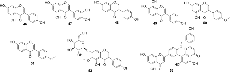 Fig. 10