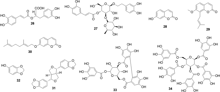 Fig. 8