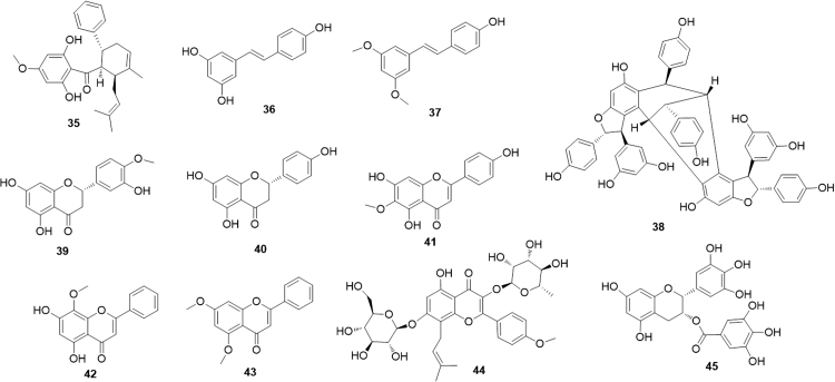 Fig. 9