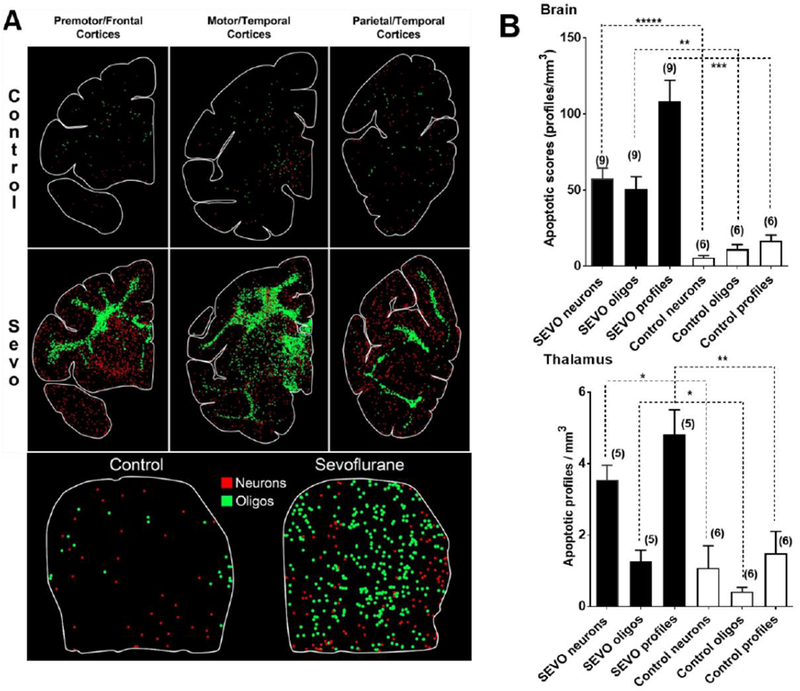 Fig. 2: