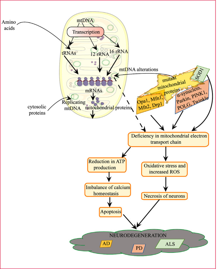 Fig. (2)