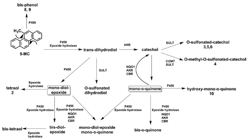 Scheme 2