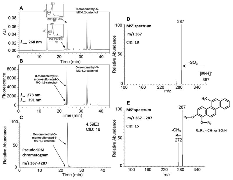 Figure 5